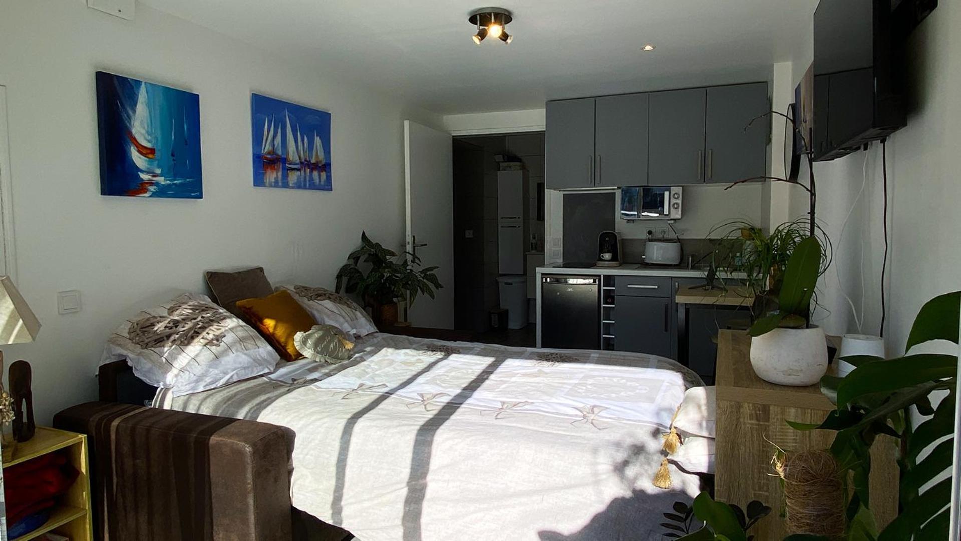 Studio Clair, Climatise Avec Jardin Et Parking Περπινιάν Εξωτερικό φωτογραφία