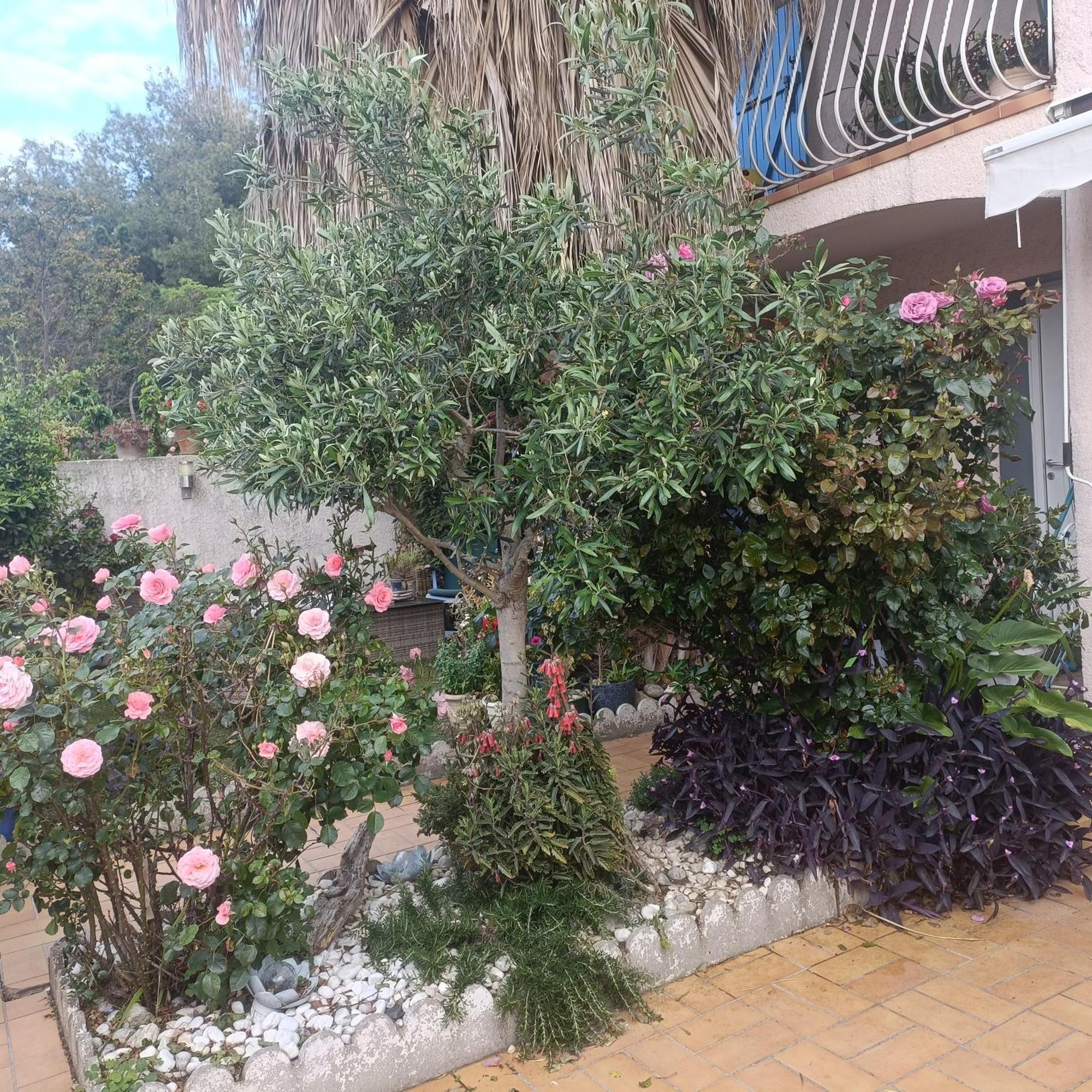 Studio Clair, Climatise Avec Jardin Et Parking Περπινιάν Δωμάτιο φωτογραφία